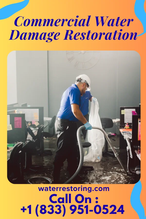 Commercial Water Damage Restoration in Danbury, NC