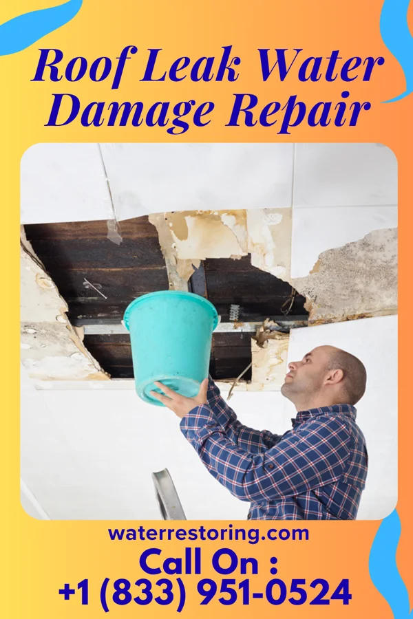Roof Leak Water Damage Repair in Danbury, NC