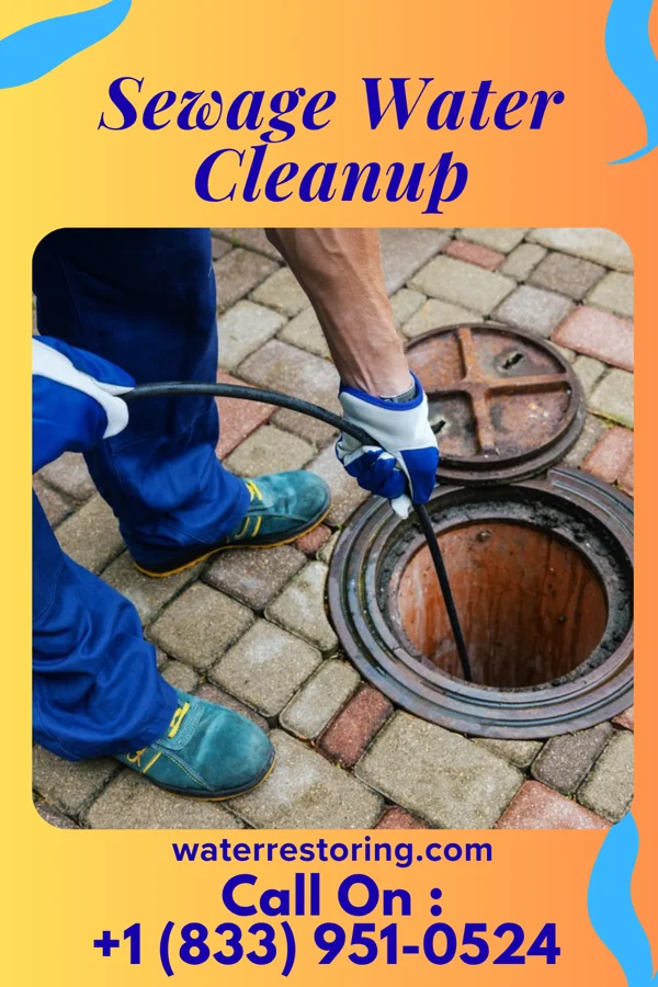 Sewage Water Cleanup in Danbury, NC