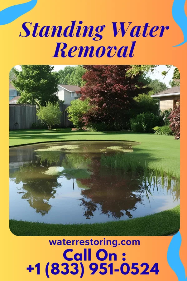 Standing Water Removal in Danbury, NC